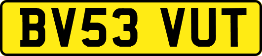 BV53VUT
