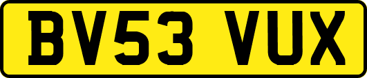 BV53VUX