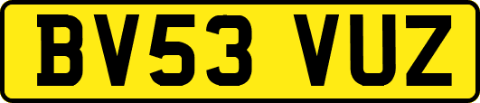 BV53VUZ