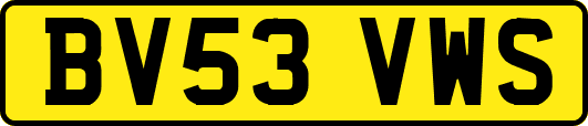 BV53VWS