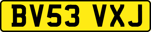 BV53VXJ