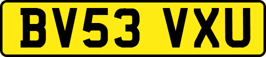 BV53VXU