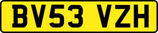 BV53VZH