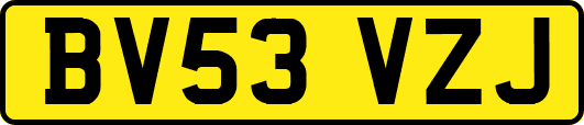 BV53VZJ
