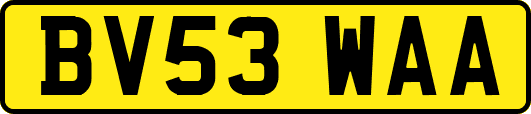 BV53WAA