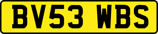 BV53WBS