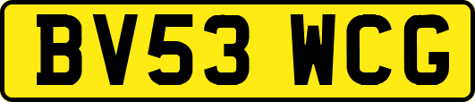 BV53WCG