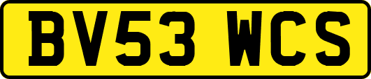 BV53WCS