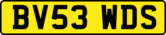 BV53WDS