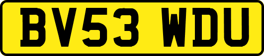 BV53WDU