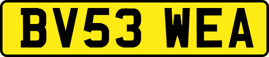 BV53WEA