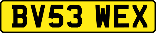 BV53WEX