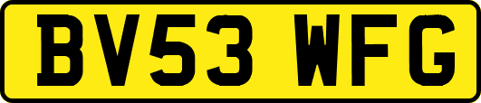 BV53WFG