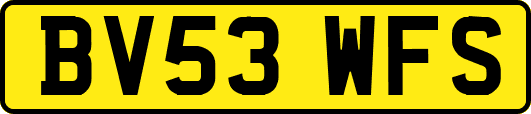 BV53WFS