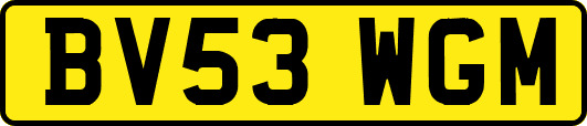 BV53WGM