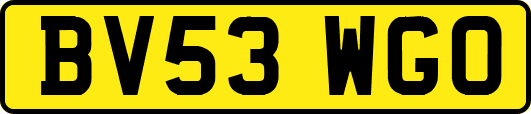 BV53WGO
