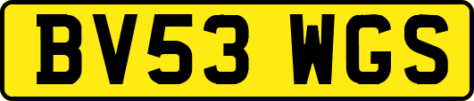 BV53WGS