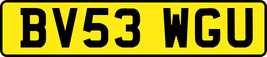 BV53WGU