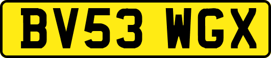 BV53WGX