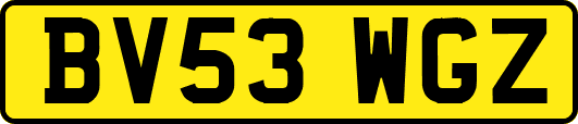 BV53WGZ