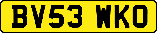 BV53WKO