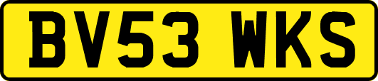 BV53WKS