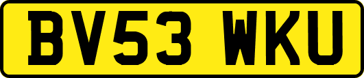 BV53WKU