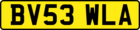BV53WLA