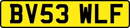 BV53WLF