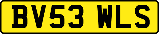 BV53WLS