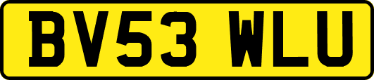 BV53WLU