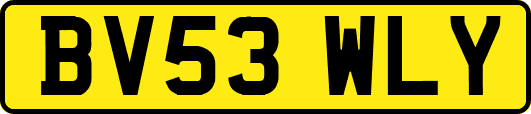 BV53WLY