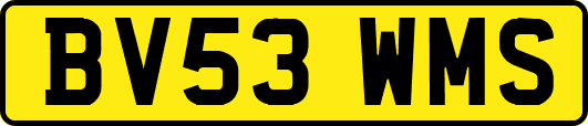 BV53WMS