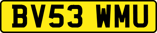 BV53WMU