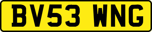 BV53WNG