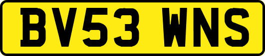 BV53WNS