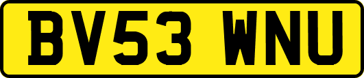 BV53WNU