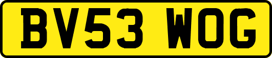 BV53WOG