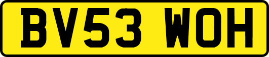 BV53WOH