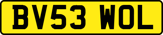 BV53WOL