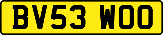 BV53WOO