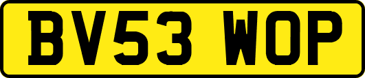 BV53WOP