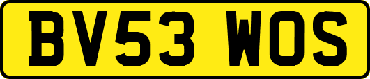 BV53WOS
