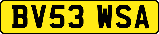 BV53WSA