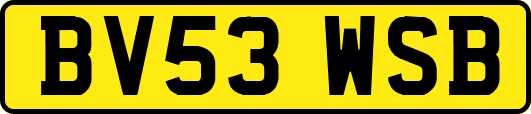 BV53WSB