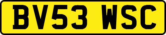 BV53WSC
