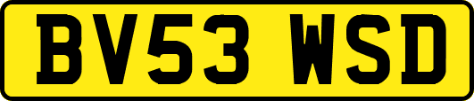BV53WSD