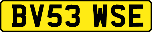 BV53WSE
