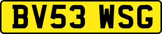 BV53WSG