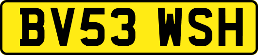 BV53WSH
